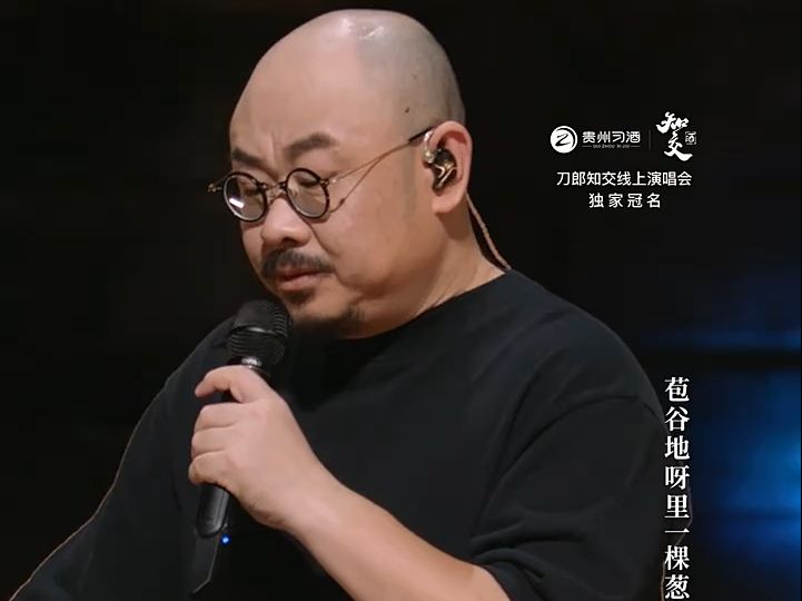 [图]2024-08-30刀郎线上演唱会