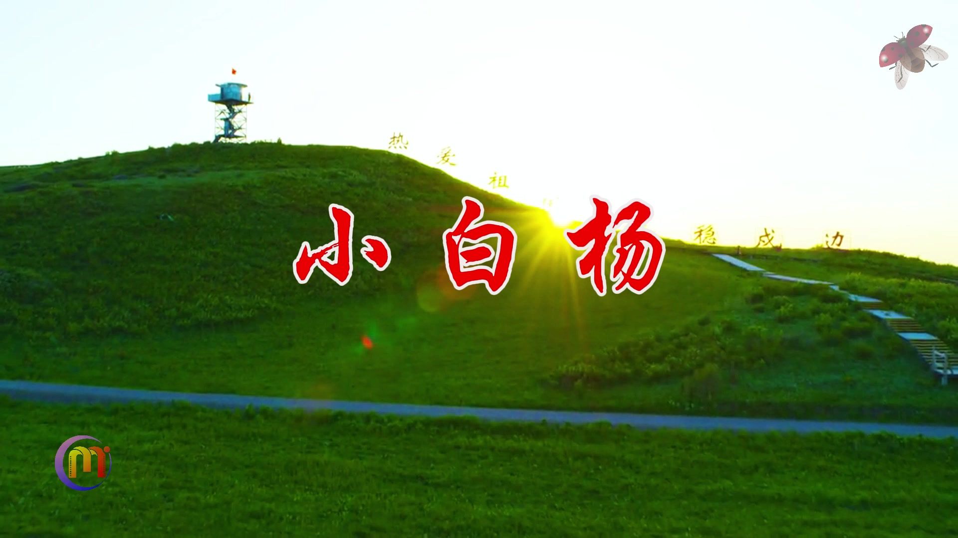 小白杨 阎维文歌曲伴奏mv军旅歌致敬戍边英雄舞台演出大屏幕高清led