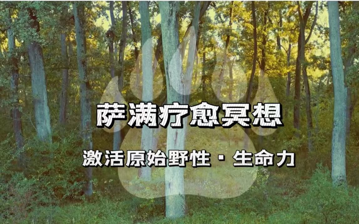 [图]萨满疗愈音乐冥想-激活原始野性-扎根大地