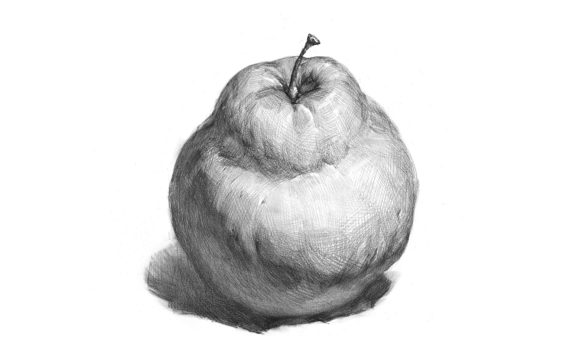 画域素描雪梨的画法陈勇帅