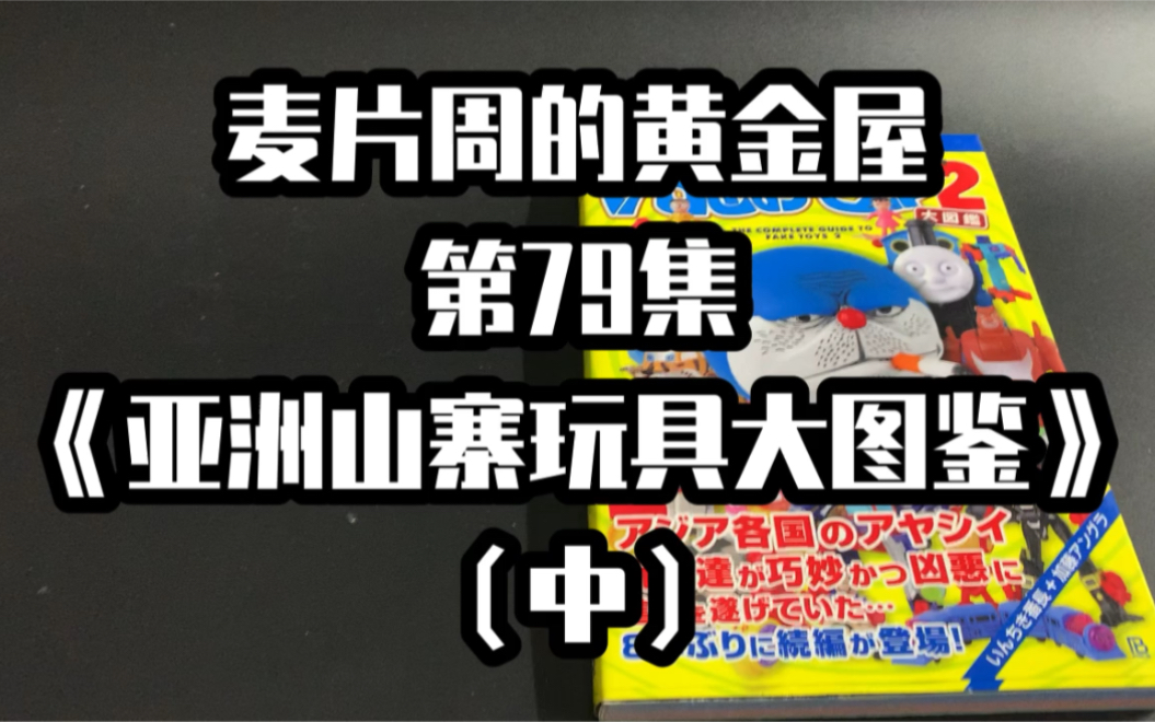 麦片周的黄金屋 79 亚洲山寨玩具大图鉴2