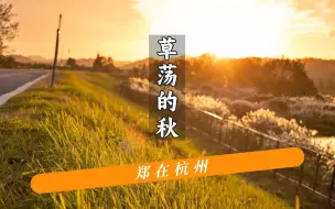 Download Video: 最低估的江南秋色：北湖芦苇荡，美翻了