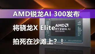 Download Video: AMD锐龙AI 300移动处理器发布 将骁龙X Elite拍死在沙滩上