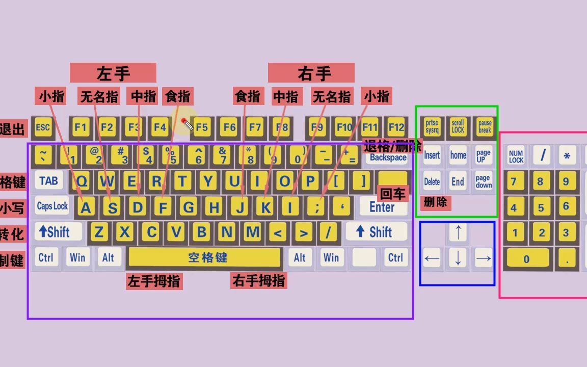 零基礎快速學拼音學五筆打字教程鍵盤打字快速入門