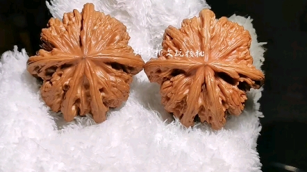 张掌柜文玩核桃—盘龙虎头五星上将,五年配对成功,精品配对,筋筋配,棱
