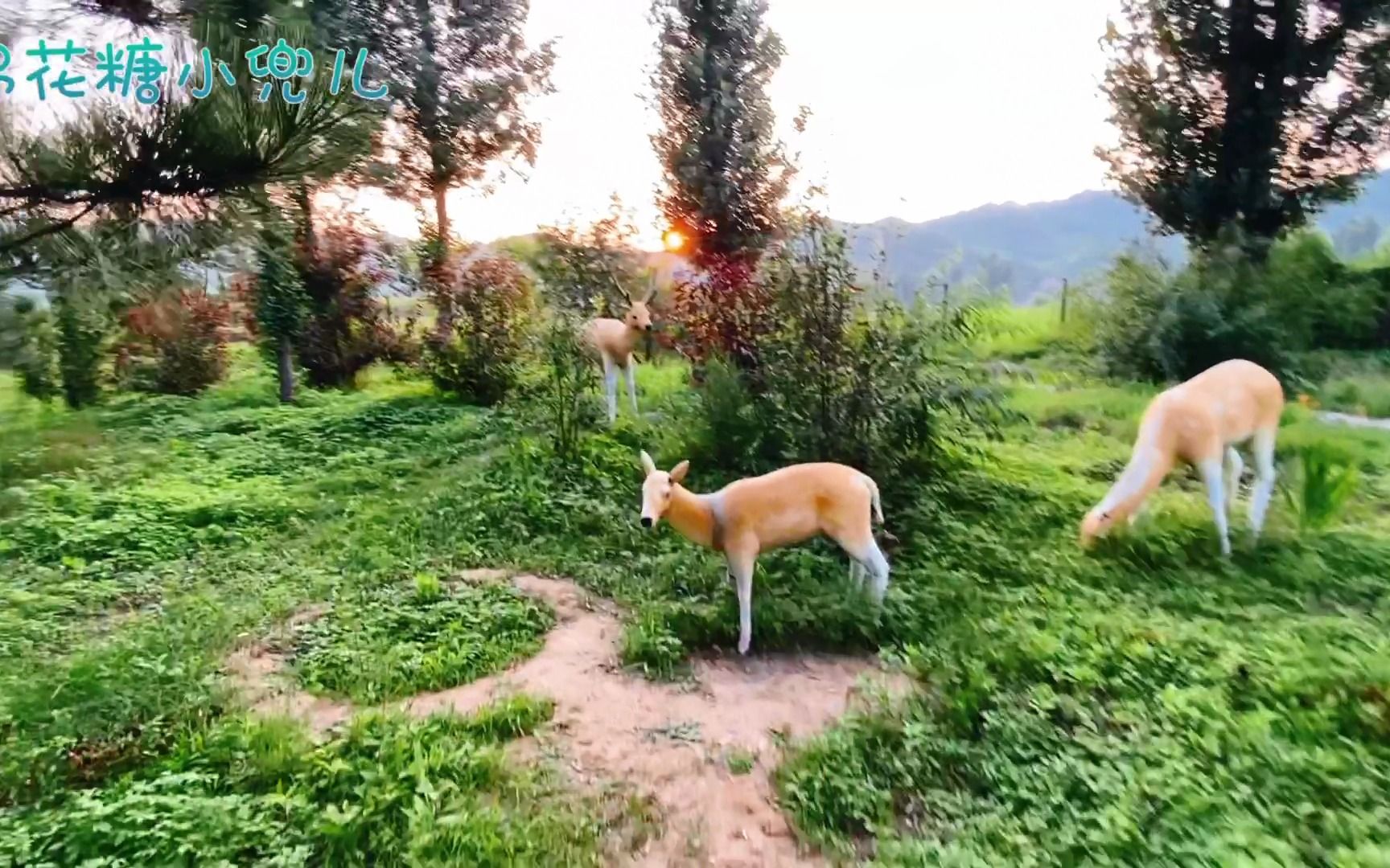 北京这个很少有人知道的地方,风景超美还免费,玩一天都不想走哔哩哔哩bilibili