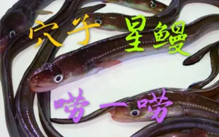 穴子 搜索结果 哔哩哔哩弹幕视频网 つロ乾杯 Bilibili