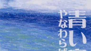 青い宝/-哔哩哔哩_Bilibili