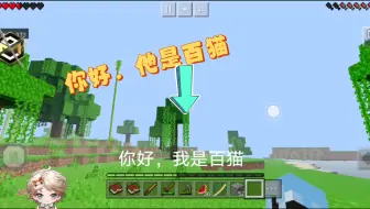 我的世界：百猫的生存日记 #1