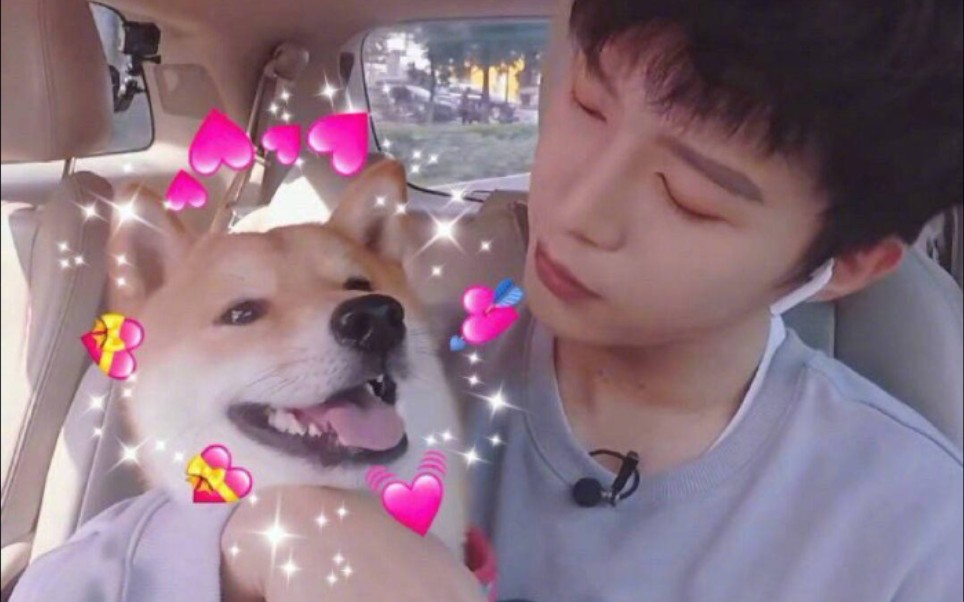 恭喜范虫虫喜提代言,可以自己赚狗粮了