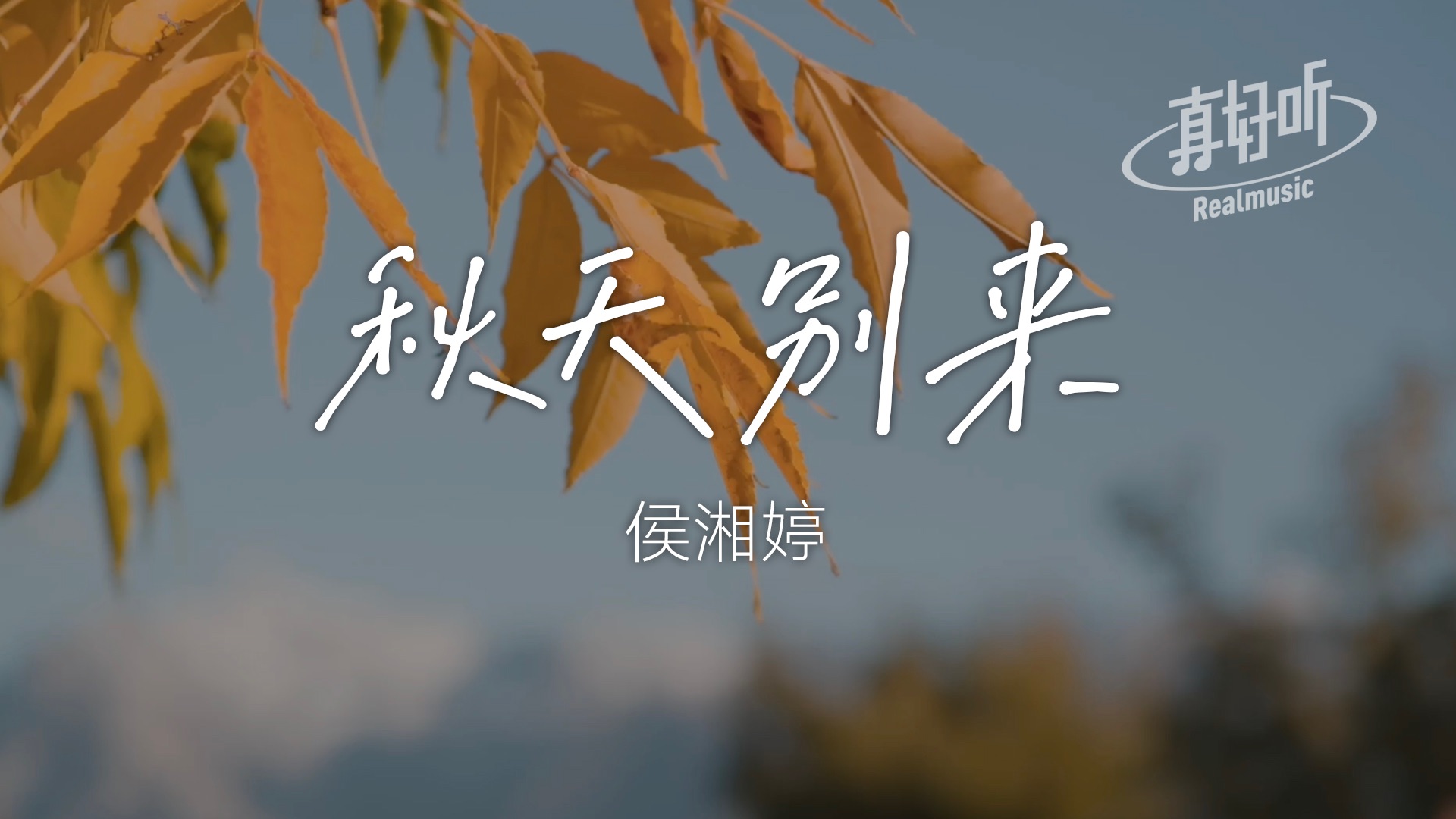 侯湘婷  秋天别来|完整版 动态歌词LyricsVideo 无损音质哔哩哔哩bilibili