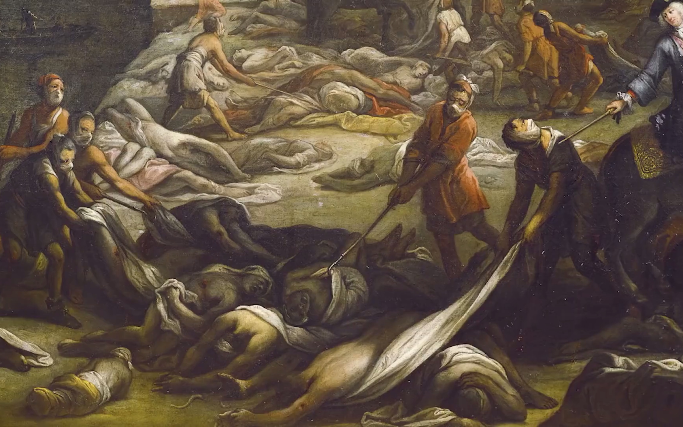 国家地理中英字幕plague101鼠疫科普