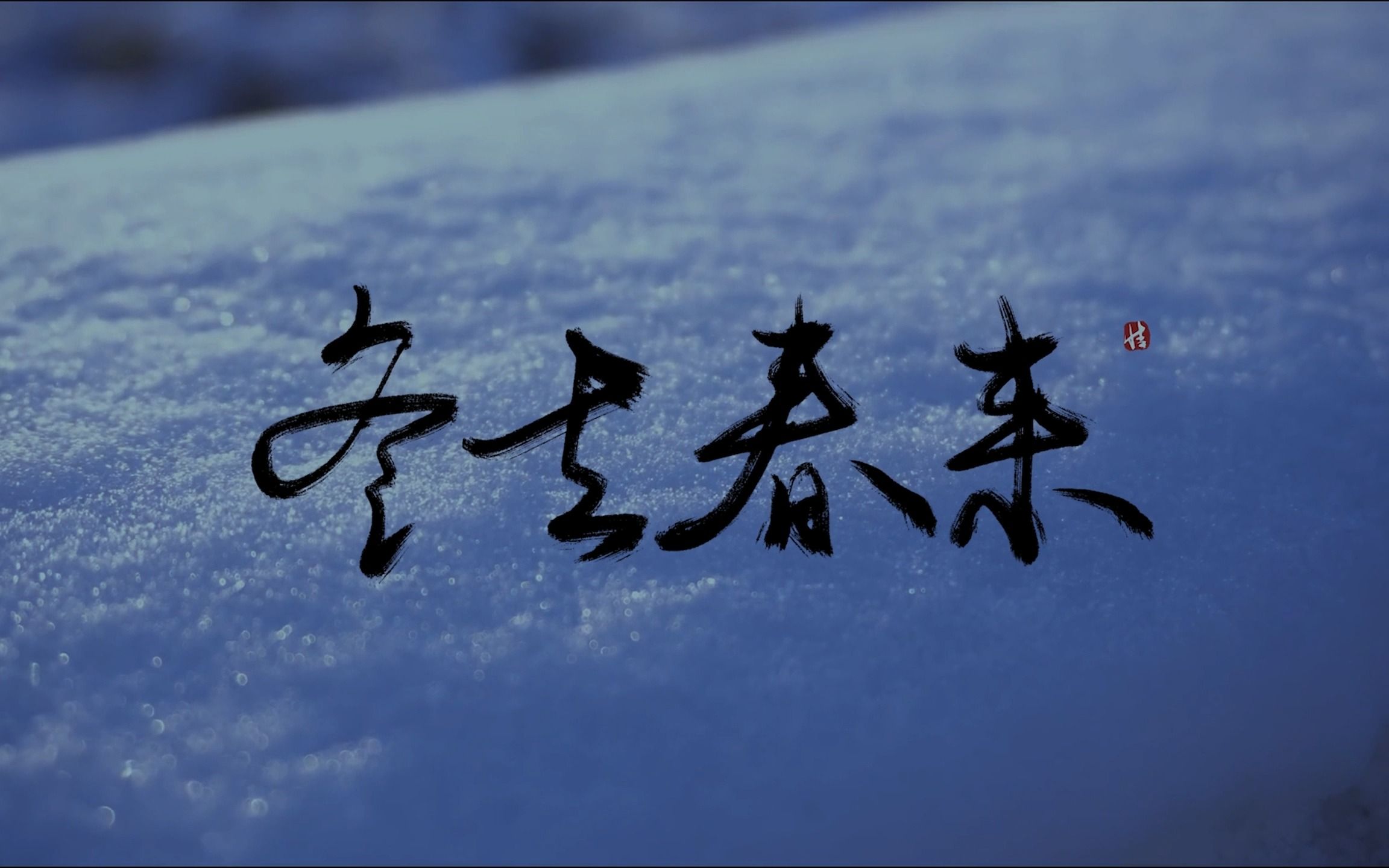 冬去春来(练手视频)