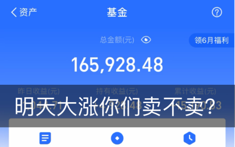 「6月4日」支付宝基金实操分享,疲软了几天,感觉好累,如果明天大涨你们卖不卖?哔哩哔哩bilibili