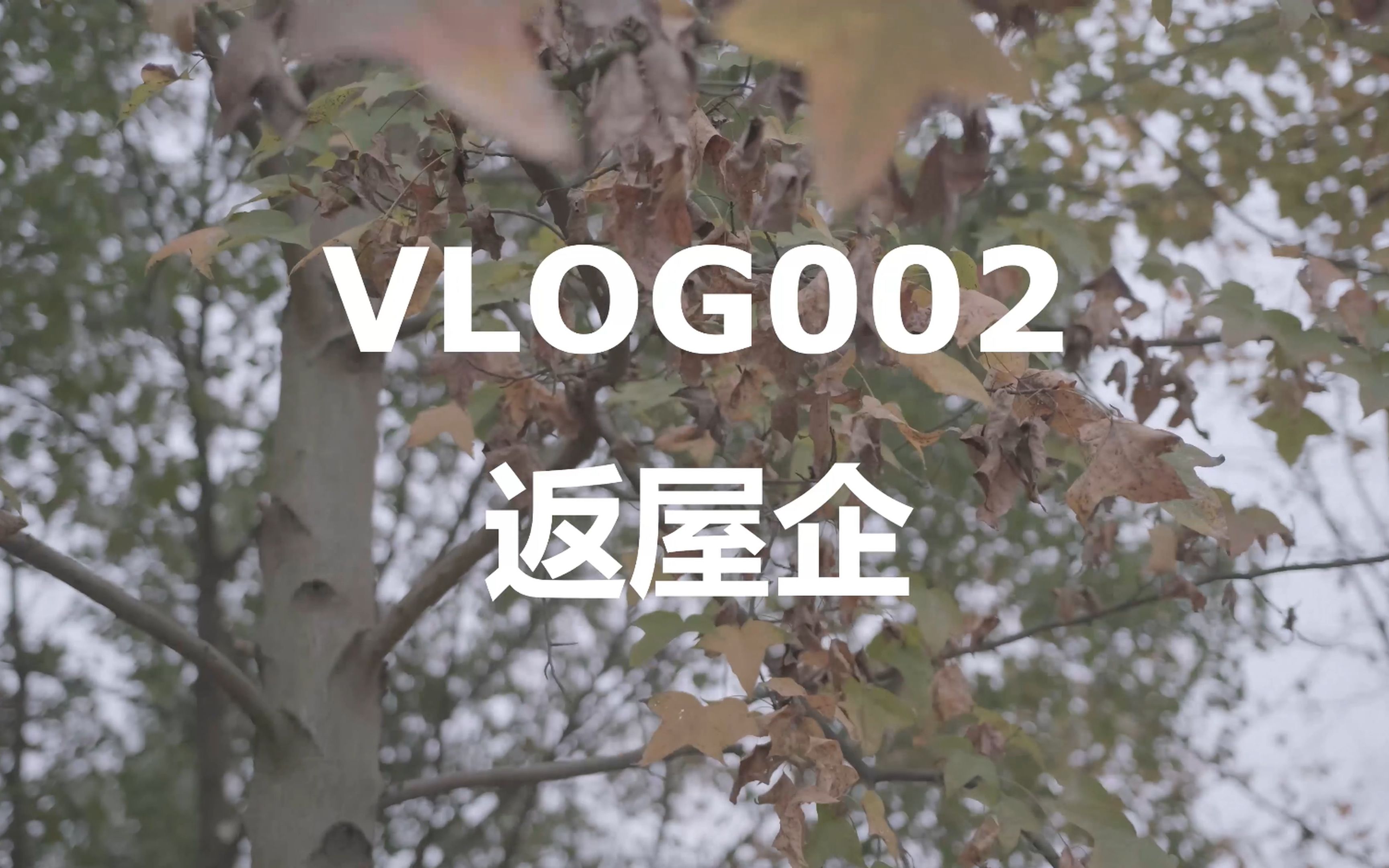 [图]VLOG002-返屋企