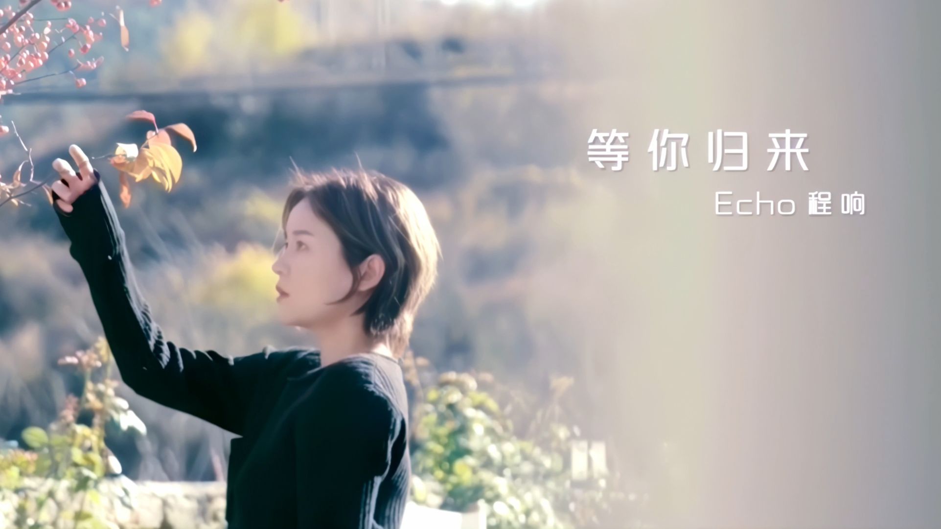 程响 - 等你归来 原版+16：9歌词版+16：9无歌词版4K修复3合一