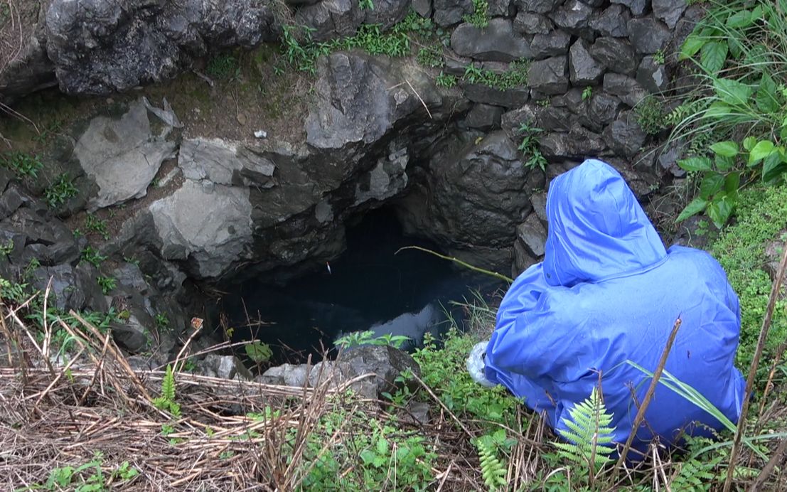 恐怖小深潭钓上都是极品鱼要不是雨下不停小伙都舍不得回家