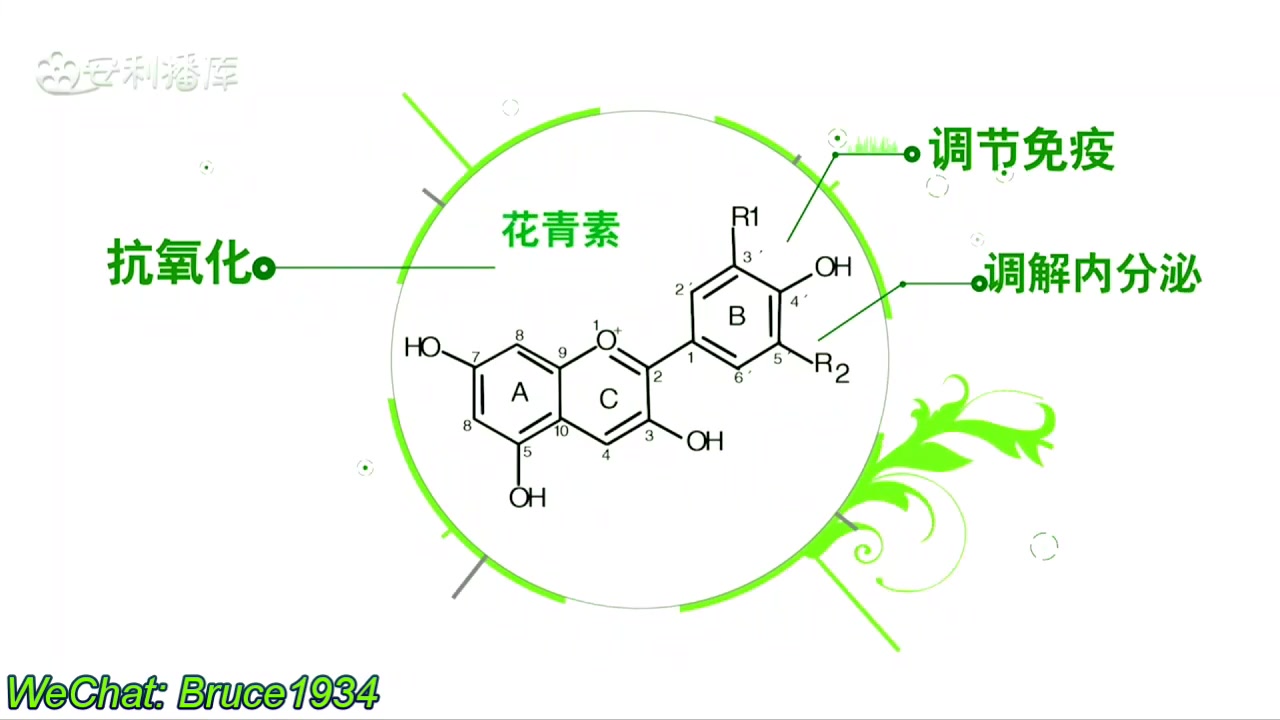 [图]植物营养素的重要作用有哪些？