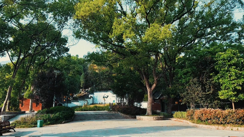 印象梨村之春天里的屿山公园