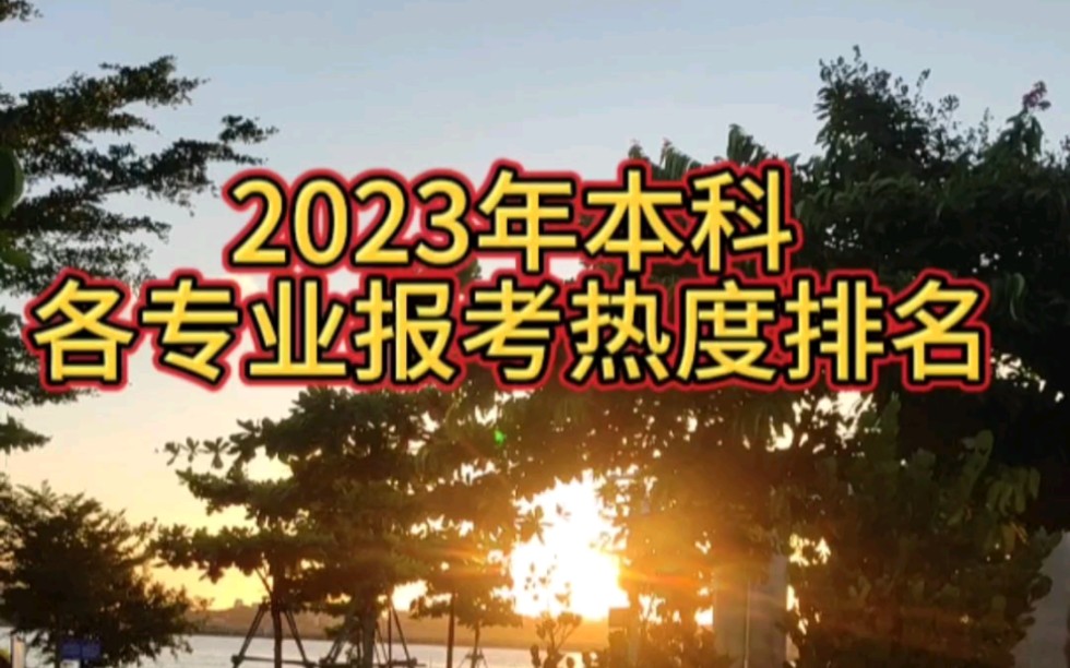 2023年本科各专业报考热度排名哔哩哔哩bilibili