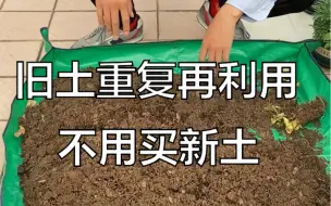 Tải video: 旧土重复再利用、不用买新土