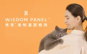 Download Video: 全球300万宠物家庭的宠物基因选择？伟思宠物基因 Wisdom Panel 品牌宣传片猫猫版