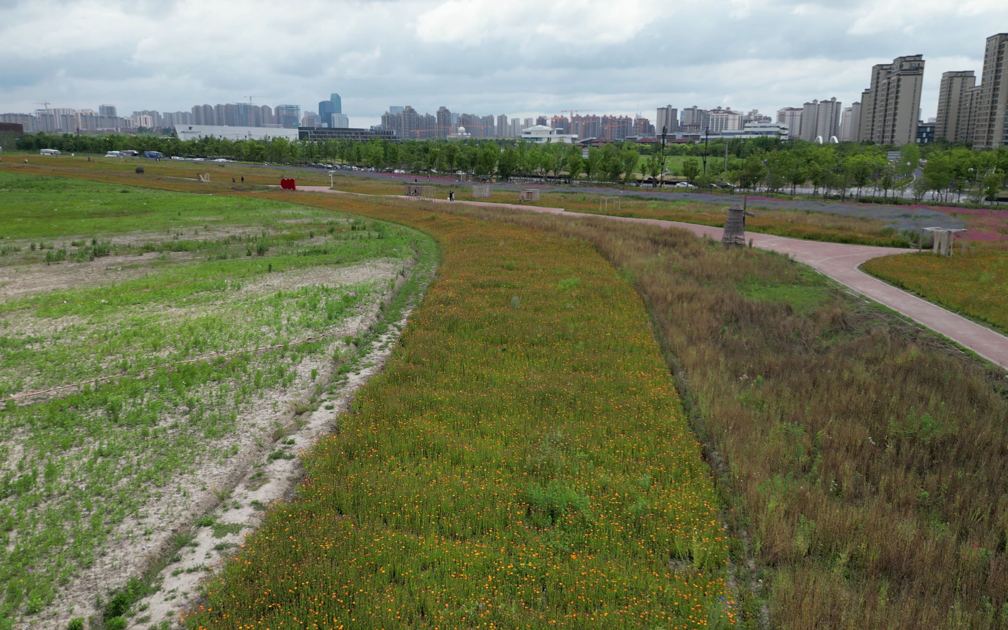 djimini3奉贤花海