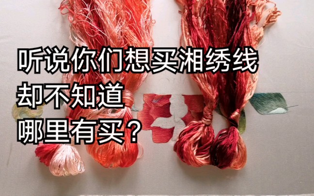 【绒花丝线】湘绣线,苏绣线傻傻分不清?哔哩哔哩bilibili