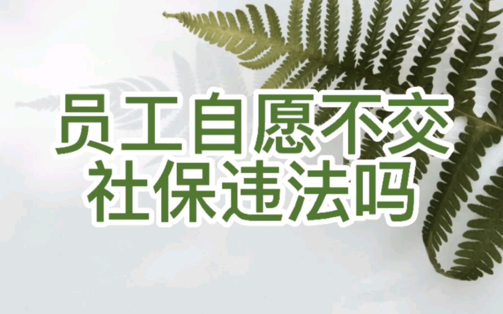 员工自愿不交社保违法吗?哔哩哔哩bilibili