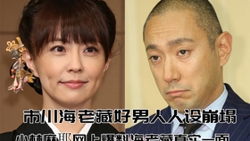 市川海老藏小林麻耶 哔哩哔哩 つロ干杯 Bilibili