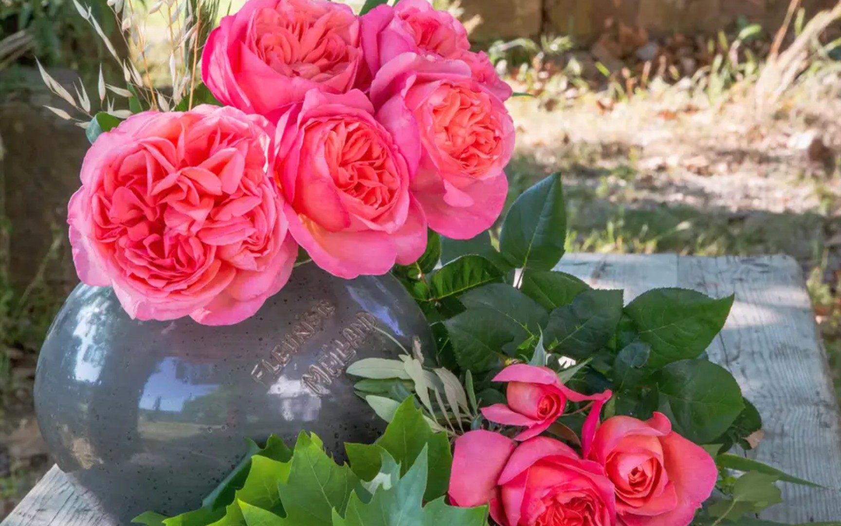 玫昂月季裸根开箱