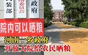 Download Video: 河南一乡政府开放大院给农民晒粮：6月初开始，确保粮食颗粒归仓