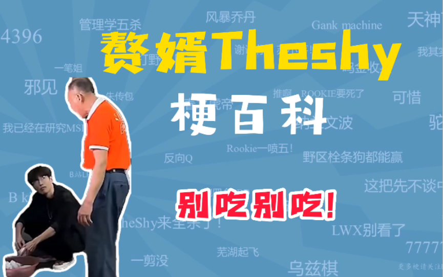 赘婿The shy是什么梗?【梗百科】哔哩哔哩bilibili