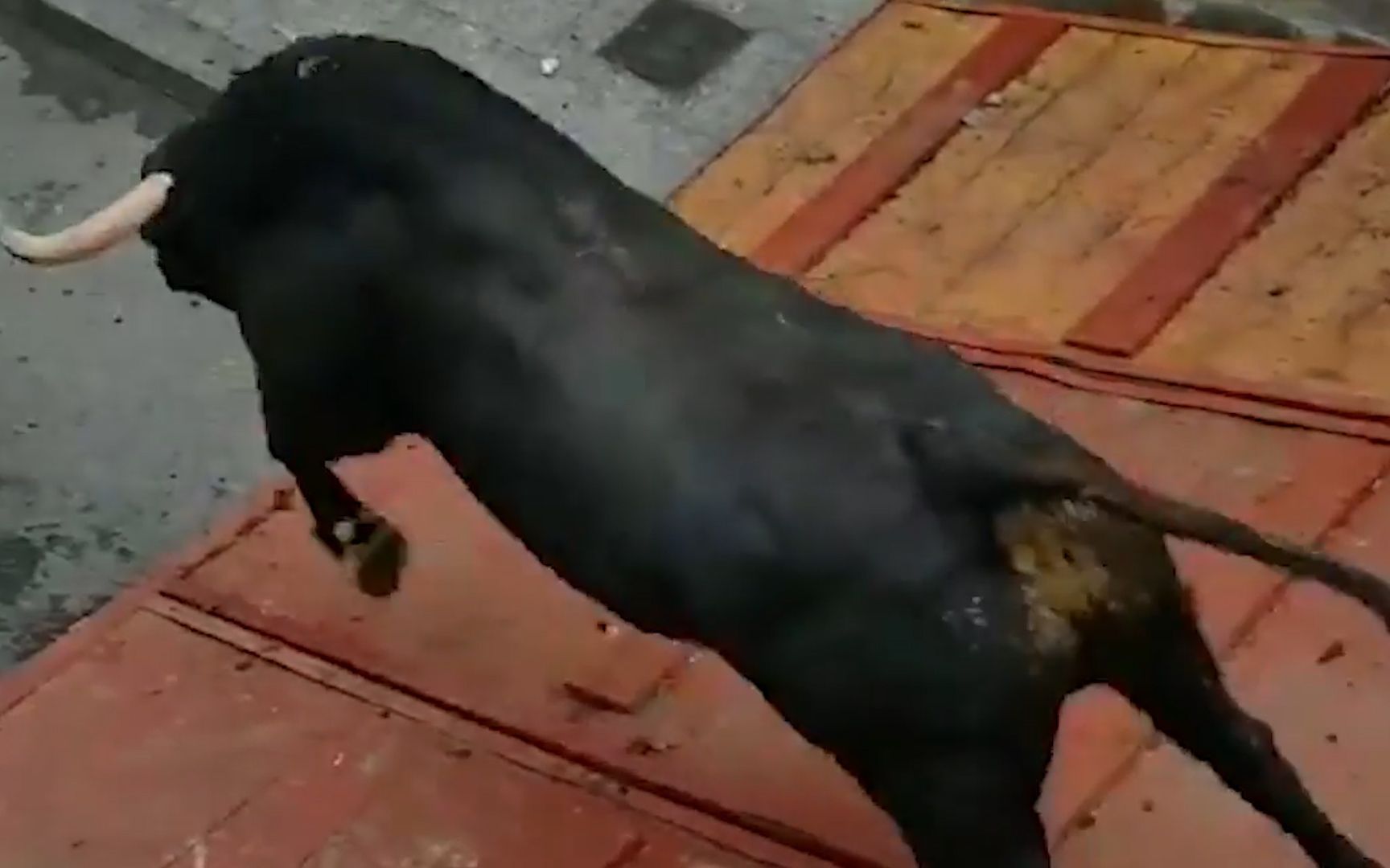 大黑牛不甘认命一跃而下,从此再也没有站起来!