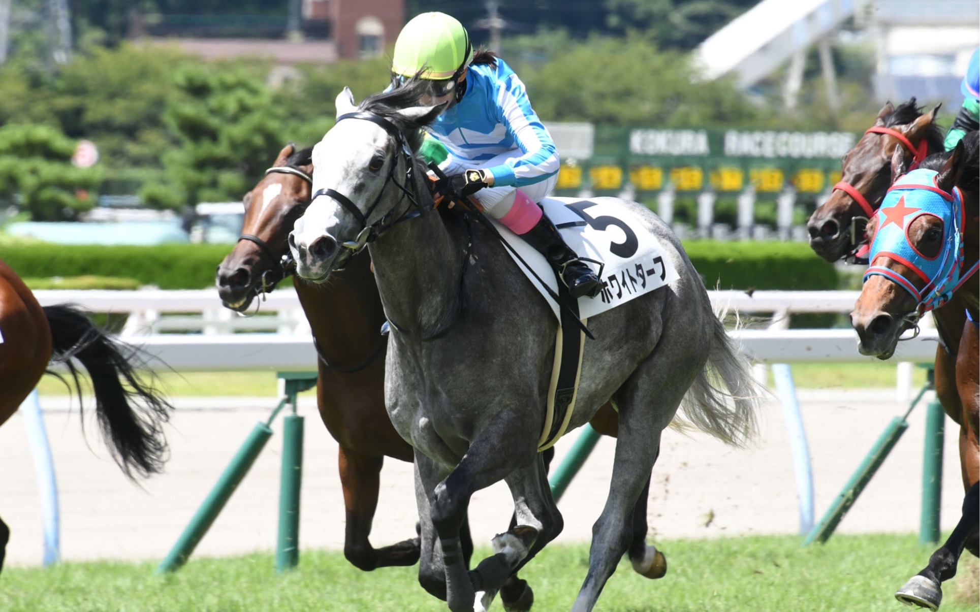 【赛马】2021/8/29 2岁新马 黄金船产驹 ホワイトターフ_哔哩哔哩