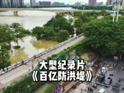 Descargar video: 他曾因花费数百亿，建造防洪堤被一些人唾弃，如今却救了整个广西！大型纪录片《百亿防洪堤》