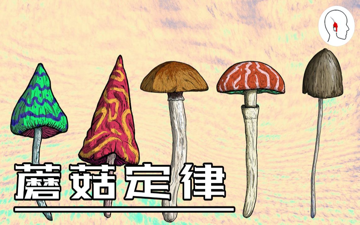 [图]什么是“蘑菇定律“？蘑菇生长环境充满挑战，不见阳光，但终可成器。如何努力渡过自己的至暗时期