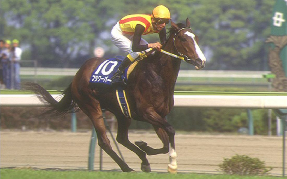 05.19 高松宫杯(g1)【花公园】【成田白仁最后一战】