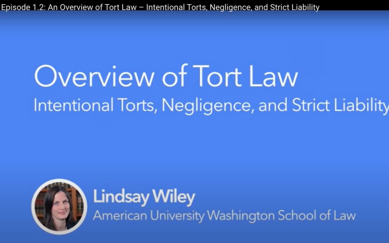 [图]侵权法-Episode 1.2- An Overview of Tort Law – Intentional Torts, Negligence, and St