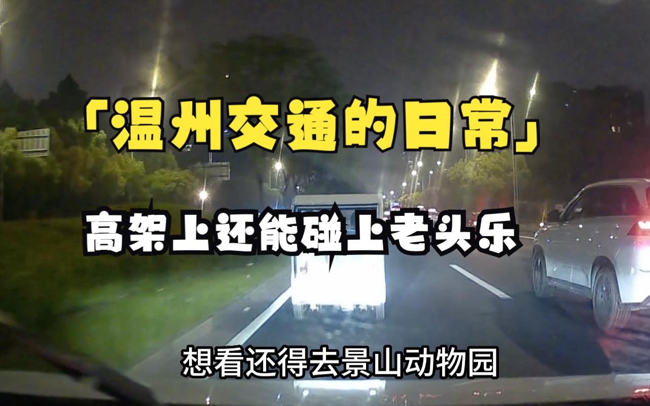 「温州开车的日常」沈海高速的回程,高架上还遇到老头乐哔哩哔哩bilibili