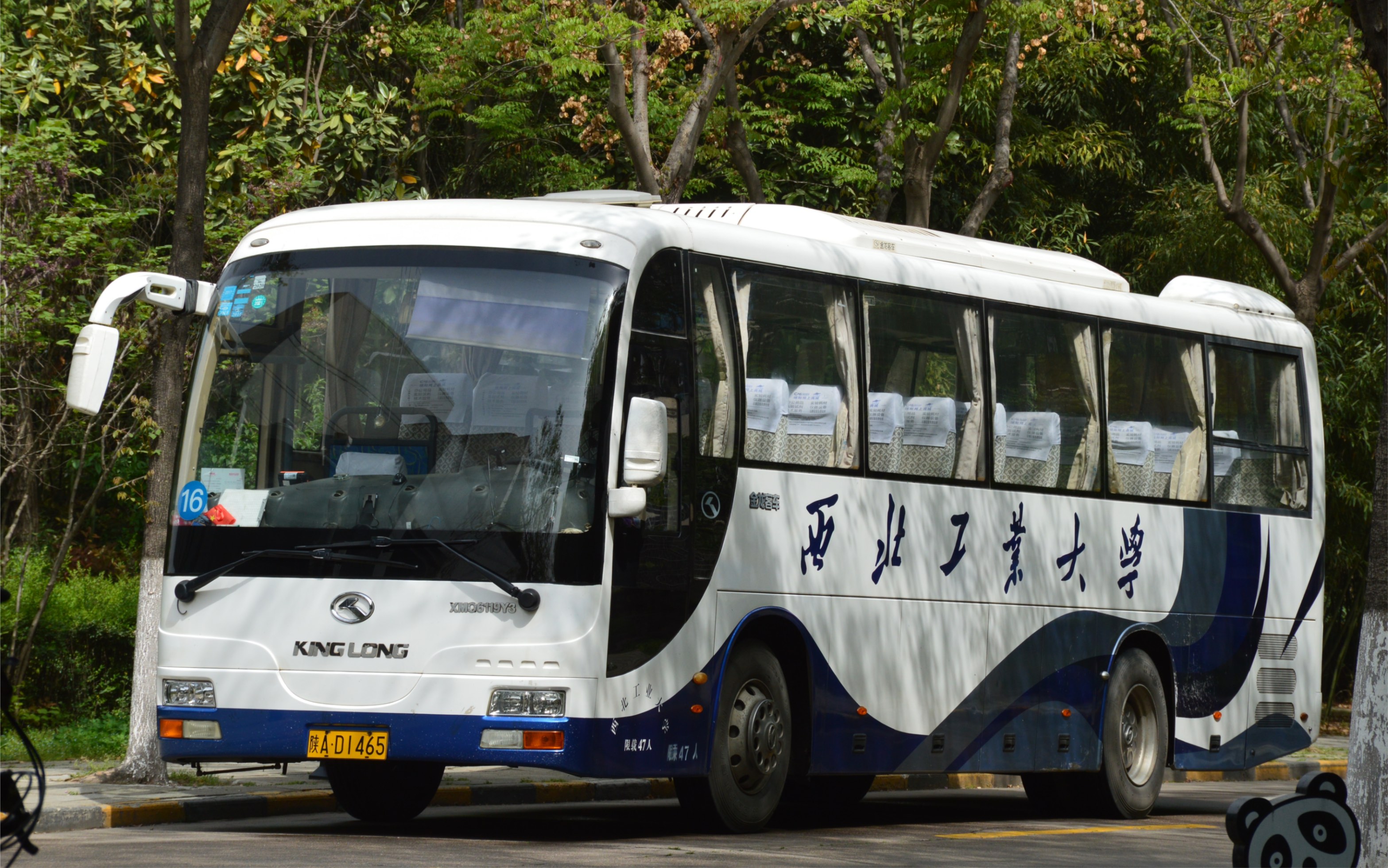 西北工業大學金龍xmq6119y3校車