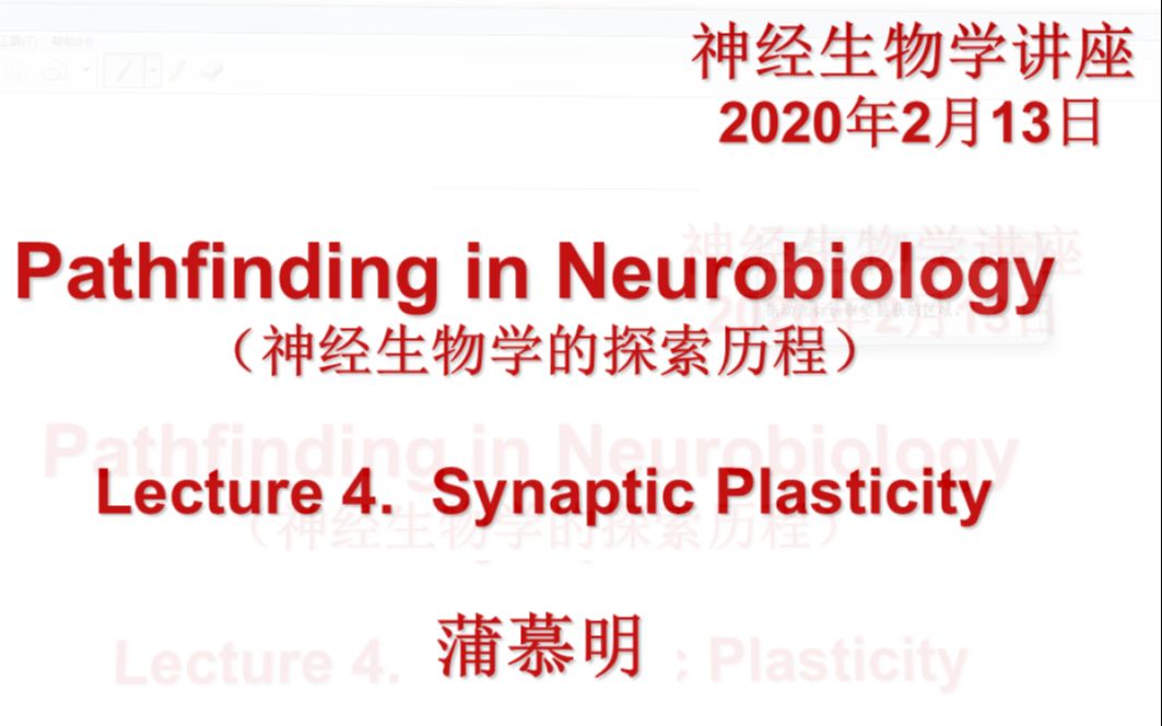 【蒲慕明的课】神经生物学10讲之Lecture 4: Synaptic Plasticity哔哩哔哩bilibili