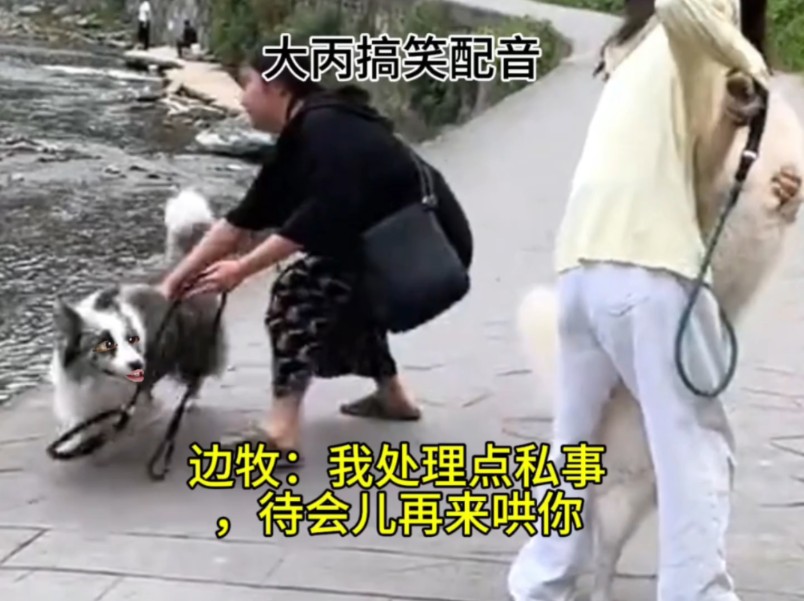 边牧：我处理点私事，待会儿再来哄你
