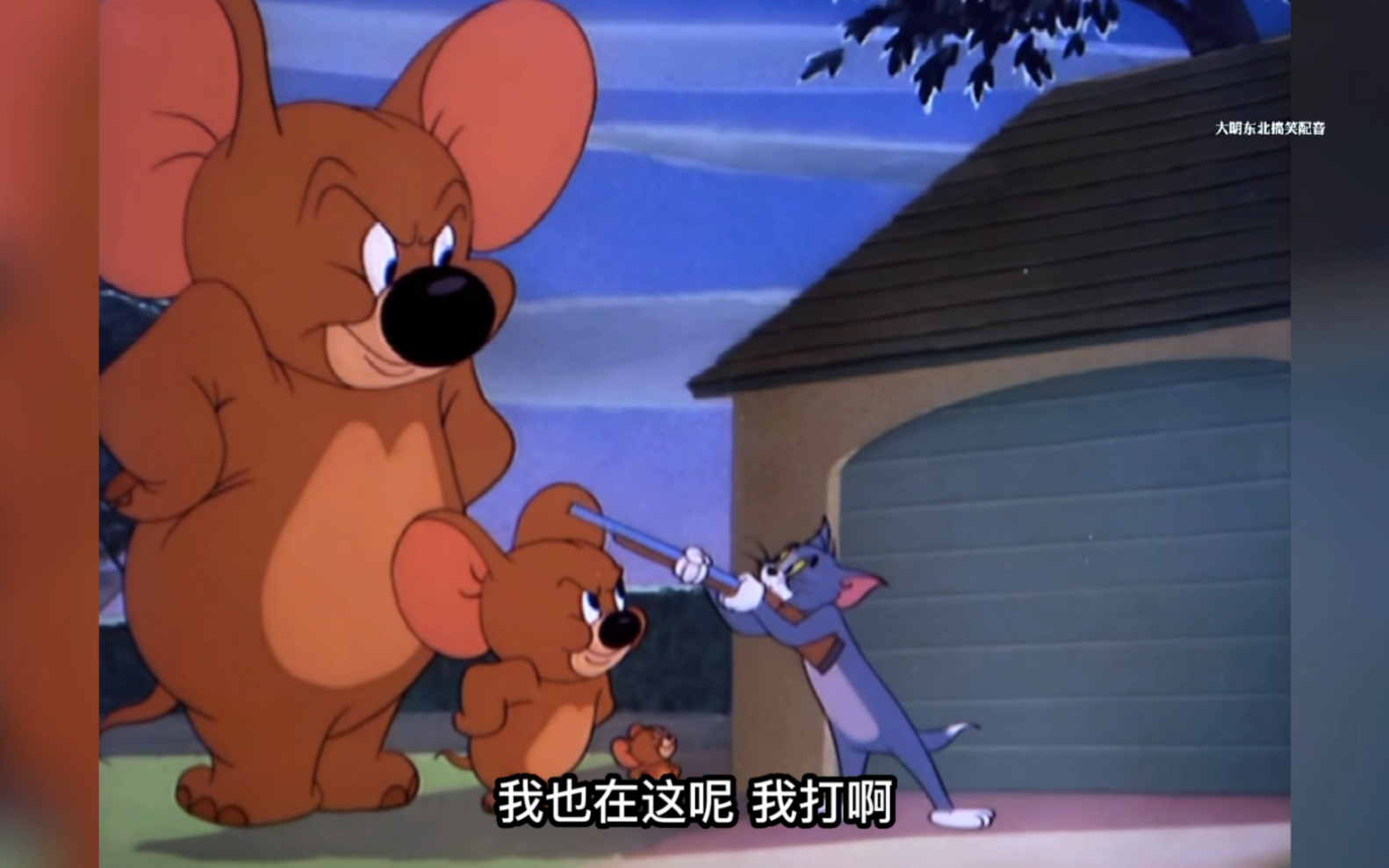 老鼠是如何成精的