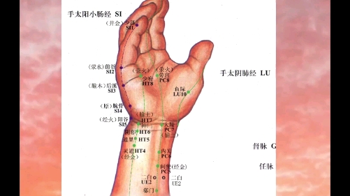 尾椎骨疼痛,按揉这里效果不错哔哩哔哩bilibili