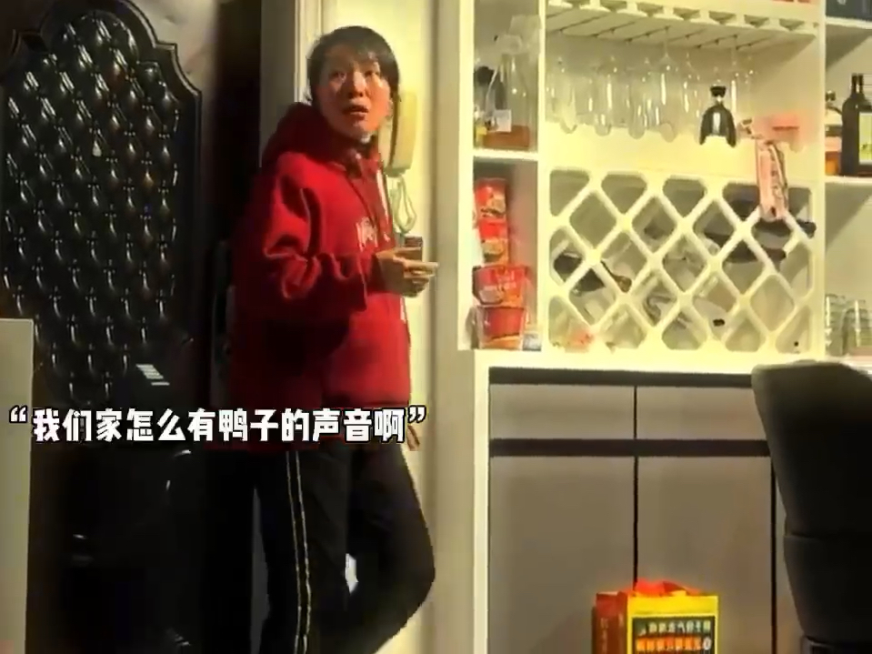 低音炮唐老鸭笑不活了