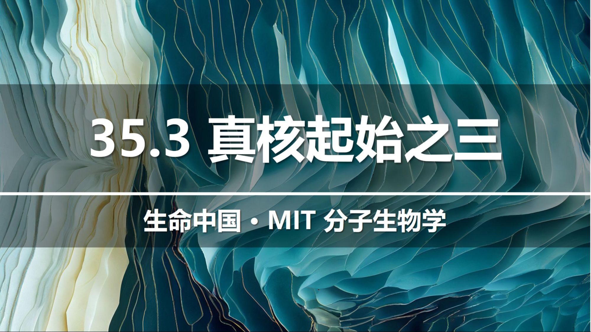 【分子生物学】35.3 真核翻译起始之三 —— mRNA起始密码子的识别哔哩哔哩bilibili