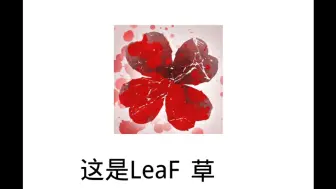 Download Video: ⚡LeaF没有派对⚡