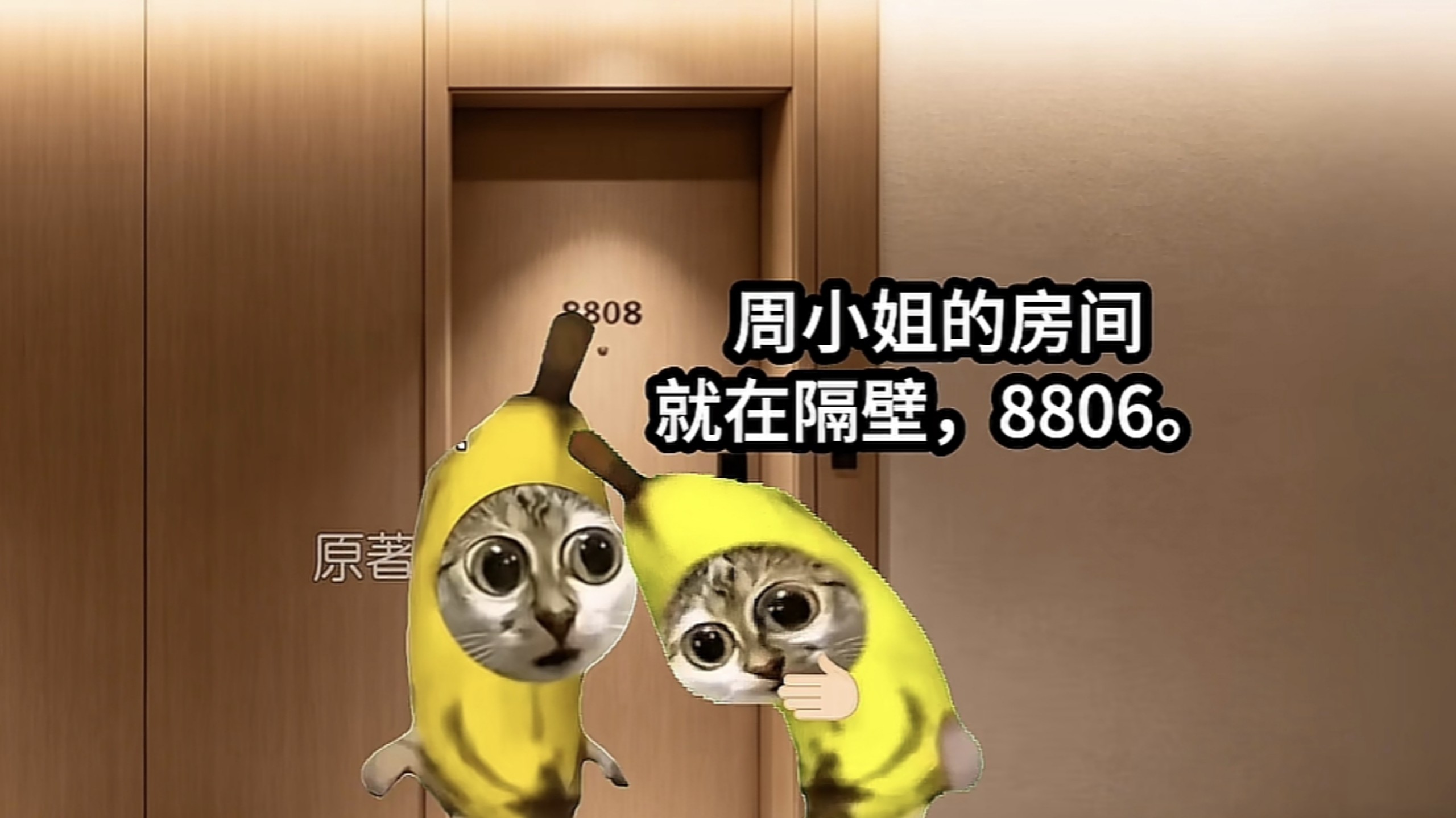 周小姐的房间在隔壁