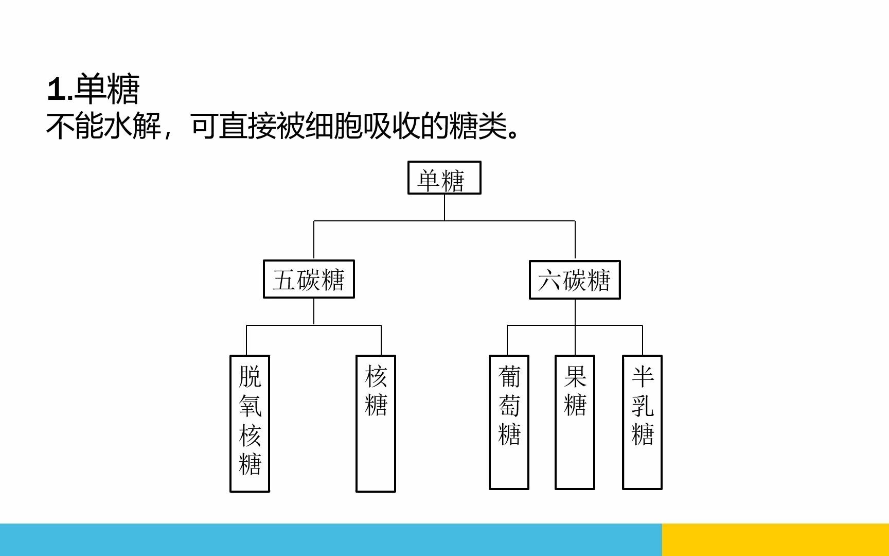 糖类的分类哔哩哔哩bilibili